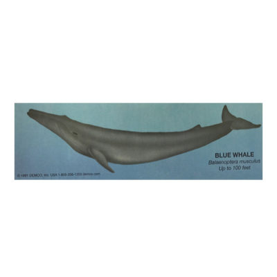 Blue Whale Bookmark