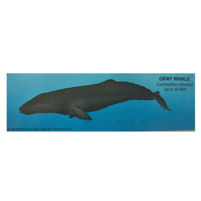 Gray Whale Bookmark