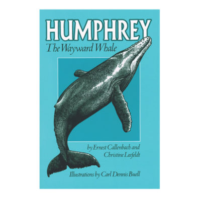 Humphrey The Wayward Whale