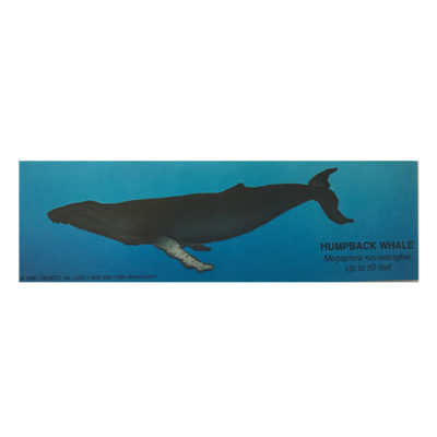 Humpback Whale Bookmark
