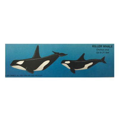 Killer Whale Bookmark