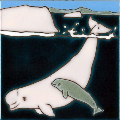 Beluga Whale Tile 6x6