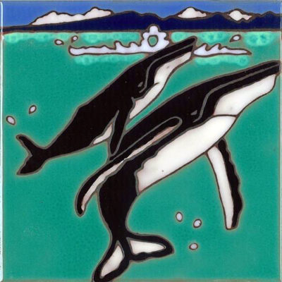 Humpback Whale Tile 6x6
