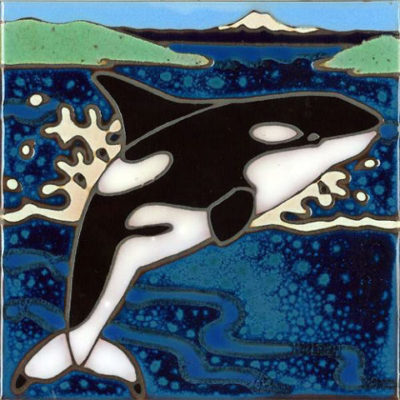 Orca Tile     6x6