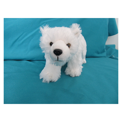 Polar Bear