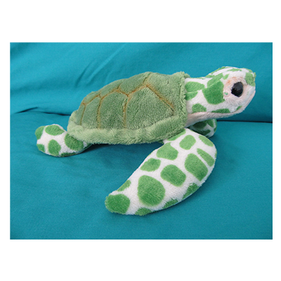 Sea Turtle
